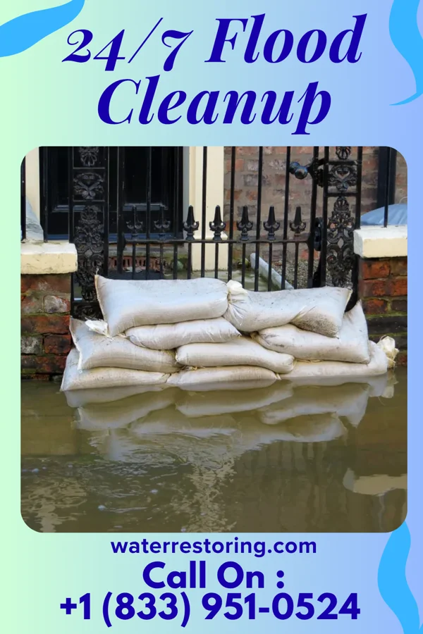 24/7 Flood Cleanup in Lena, MS