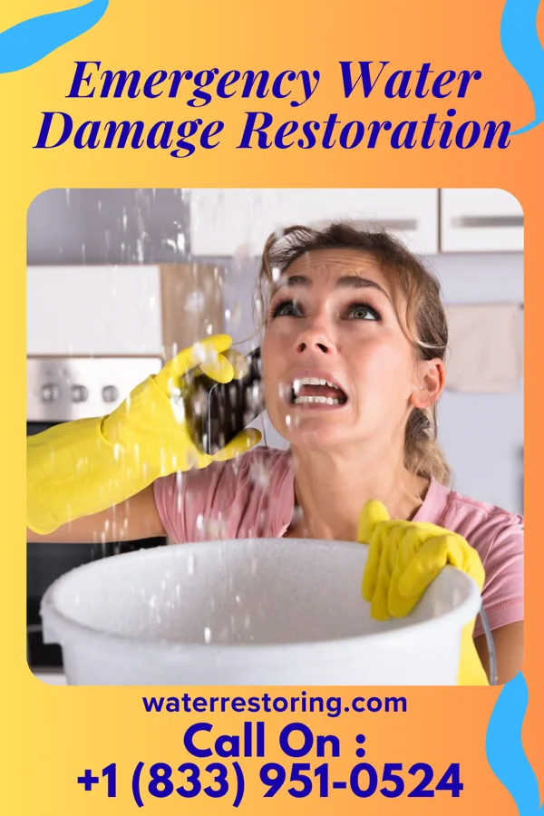 Emergency Water Damage Restoration in Lena, MS