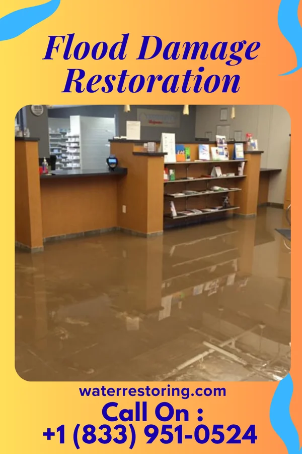 Flood Damage Restoration in Lena, MS