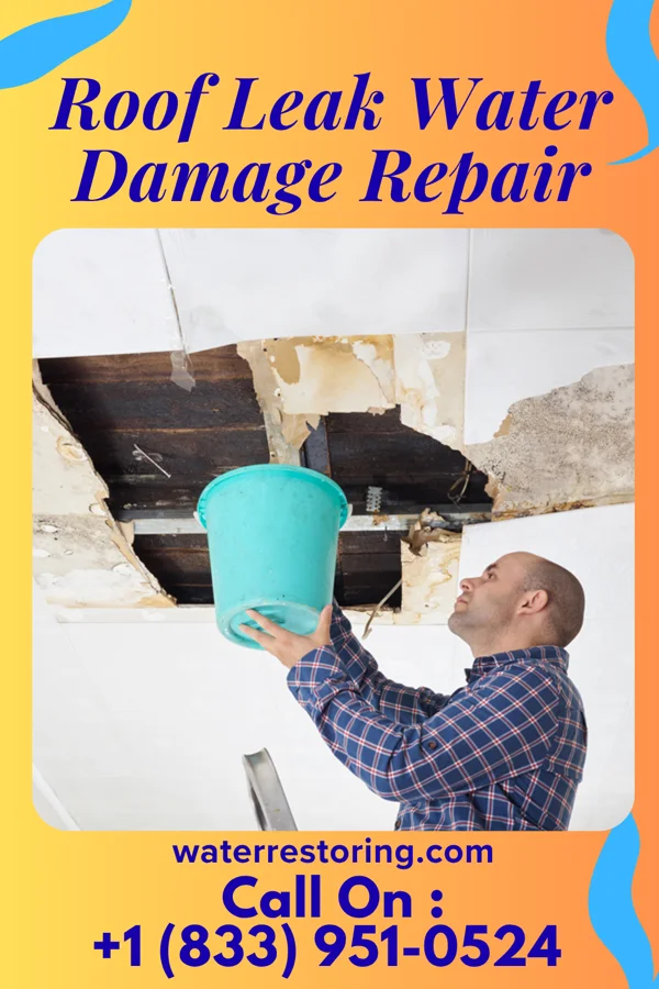 Roof Leak Water Damage Repair in Lena, MS