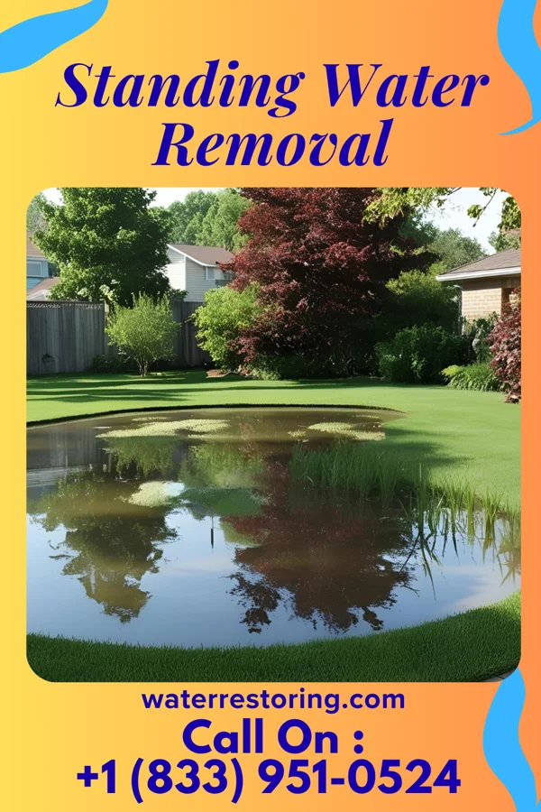 Standing Water Removal in Lena, MS